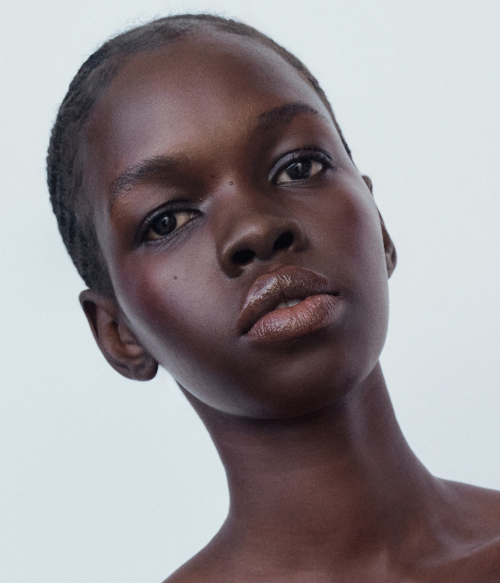 THE BROWN LIP PENCIL