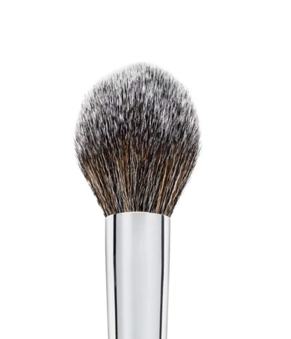 POINTED POWDER BRUSH F10